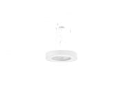 Silver ring подвесной светильник Panzeri L08201.050.0402