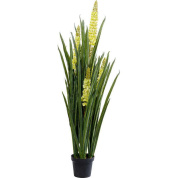 55913 Rhynchostylis 150cm Kare design искусственное растение