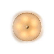 Magma Tala Потолочный или настенный светильник латунный MGM-WF-425-SB-G70-01-EU