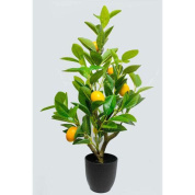 56764 Lemon Tree 60cm Kare design искусственное растение