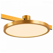 накладной потолочный светильник с круглым плоским рассеивателем в золотом корпусе