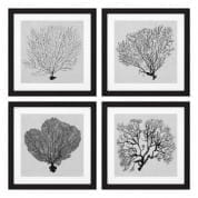 112752 Prints Shadow Sea Fans set of 4 Распечатать Eichholtz