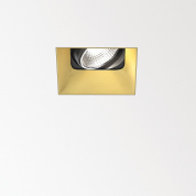 ENTERO SQ-S TRIMLESS 92720 GC золото цветное Delta Light Встраиваемый поворотный потолочный светильник