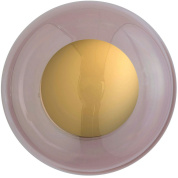 настенно-потолочный светильник с дисковым плафоном цвета обсидиан