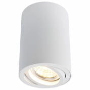 A1560PL-1WH Накладной светильник 1560 Arte Lamp