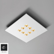 Confort Icone Потолочный светильник квадратный черный i-c-0355