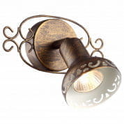 A5219AP-1BR Спот Focus Arte Lamp