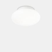 потолочный светильник с круглым матовым плафоном из белого стекла