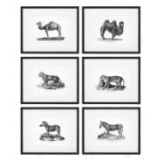 112747 Prints Historical Animals set of 6 Распечатать Eichholtz