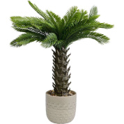 55918 Cycas 70cm Kare design искусственное растение