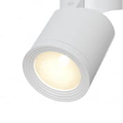 C019CW-01W Потолочный светильник Tube Maytoni белый