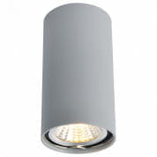 A1516PL-1GY Накладной светильник 1516 Arte Lamp