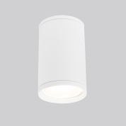 a056333 Elektrostandard Light уличный накладной потолочный светильник цилиндрической формы с матовым рассеивателем