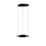 270540 Light Point Edge подвесной светильник с вытянутым прозрачным корпусом и акцентным направленным светом