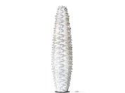 Коллекция SLAMP Cactus