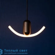 PENDANT подвесной светильник Beem B-PENDANT-BLK + B-SMILE-02