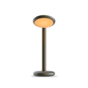 PAD1-50 Grau Parrot TABLE BLACK BRASS Настольная лампа черный