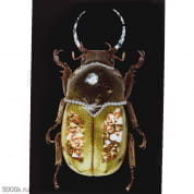 53593 Картина на стекле Shiney Dung Beetle 80x120см Kare Design