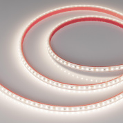 022319(2) Arlight Лента герметичная RTW-PS-A120-10mm 12V Day4000 (9.6 W/m, IP67, 2835, 5m)