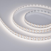 028736(2) Arlight Лента RT-A168-10mm 24V Day4000-CX2 (17.3 W/m, IP20, 2835, 5m)