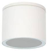 накладной потолочный светильник цилиндрический белый IP54