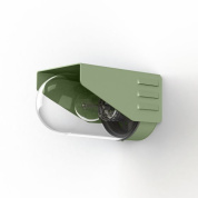 уличное настенное бра с овальным плафоном в корпусе оливкового цвета