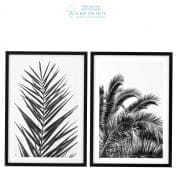 112195 Prints EC274 Palm Leaves set of 2  Eichholtz