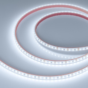 022318(2) Arlight Лента герметичная RTW-PS-A120-10mm 12V White6000 (9.6 W/m, IP67, 2835, 5m)