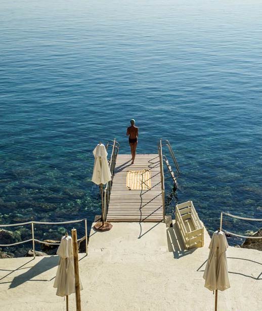Il Pellicano