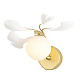 Бра Crystal Lux COLIBRI AP1 GOLD — фото 1