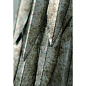 TWL91L Large Leaf настенный светильник Porta Romana — фото 5