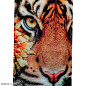 53595 Картина из стекла Тигр на охоте 150х100см Kare Design