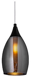 A7951SP-1BK Arte Lamp Barry подвесной светильник с плафоном в форме колбы