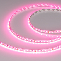RT-A120-8mm 24V Pink (9.6 W/m, IP20, 2835, 5m)