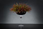 ANASTASIA SLIMPINE Цветочная композиция со стеклянной вазой VGnewtrend