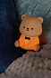 54500/01/43 PINCHA BEAR детская настольная лампа в форме медвежонка с мягким матовым покрытием — фото 3