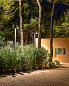 POLESANO 4M - 21L BASE Pole Delta Light — фото 10