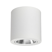 SP-FOCUS-R140-30W