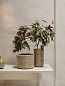 Горшок Corduroy Ferm Living 1104269928 кашемир — фото 1