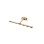 61085 MAGRITTE-3 LED Old gold picture wall light 12W настенный светильник Faro barcelona — фото 1