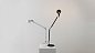 Настольная лампа Tolomeo Artemide — фото 5