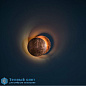 LEDERAM W25 double настенный светильник Catellani & Smith LW253 — фото 7