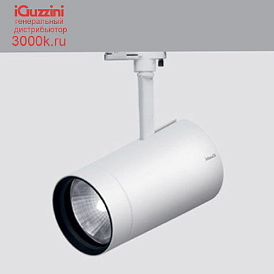 P243 Palco iGuzzini warm white large body spotlight - DALI ballast- flood optic