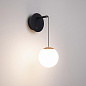 037065 Arlight Светильник SP-BEADS-WALL-HANG-R130-6W Day4000 (BK-GD, 180 deg, 230V) — фото 2