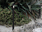 Ago Bollard H900 1L Lombardo уличный высокий светильник-столбик — фото 2
