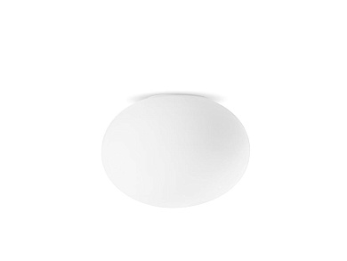 потолочный светильник с матовым плафоном для сменного источника