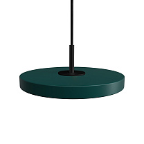 Asteria Micro Forest Green w. Dim - Black Top