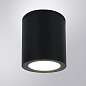 Уличный потолочный светильник Arte Lamp TORCULAR A1313PF-1BK — фото 1