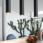 Подвесной светильник Look SP1 ROUND D60 H400 Ideal Lux 104928, черный — фото 8