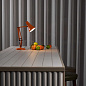 Настольная лампа Anglepoise 90 Mini Mini Оранжевый 33298 — фото 3